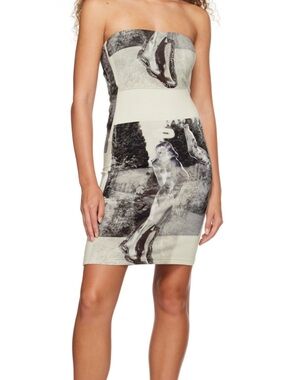Elliss Gray Garden Angel Minidress